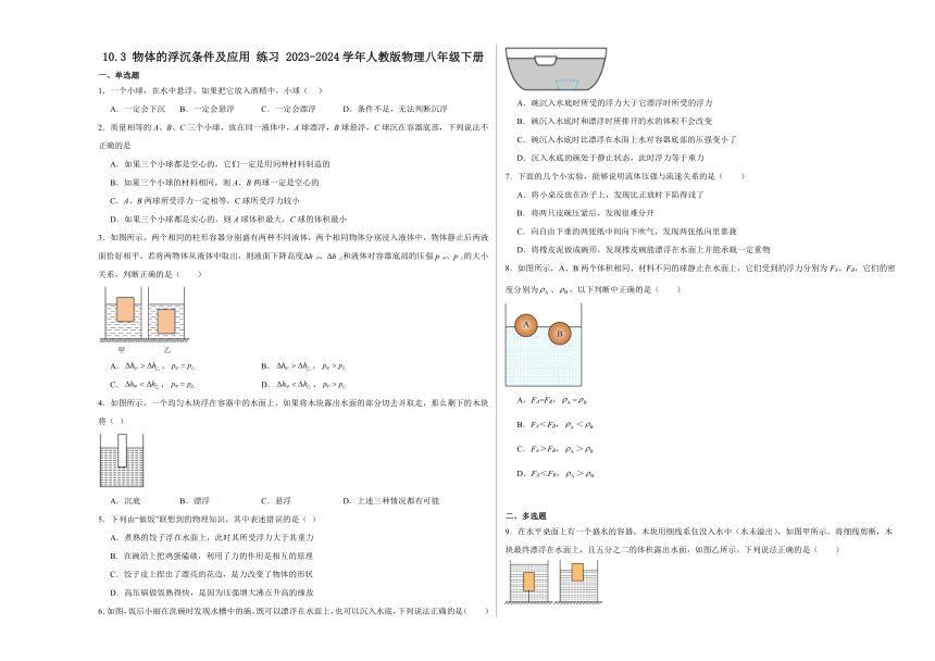 10.3 物体的浮沉条件及应用 练习 2023-2024学年人教版物理八年级下册（含解析）