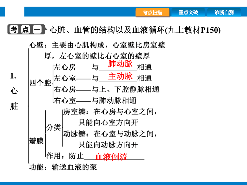 2024浙江省中考科学复习第7讲　动物的新陈代谢（2）（课件 44张PPT）