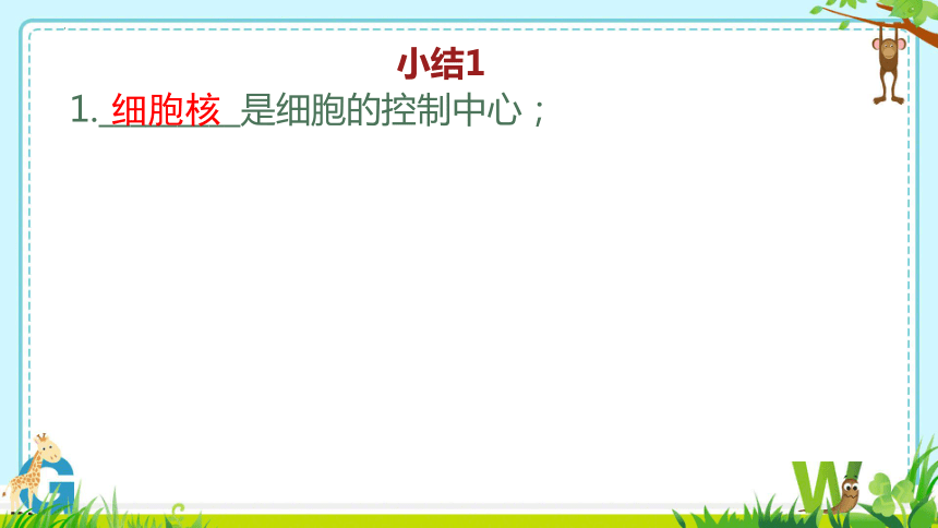 8.22.1 DNA是主要的遗传物质课件(共30张PPT)2023--2024学年苏教版生物八年级下册