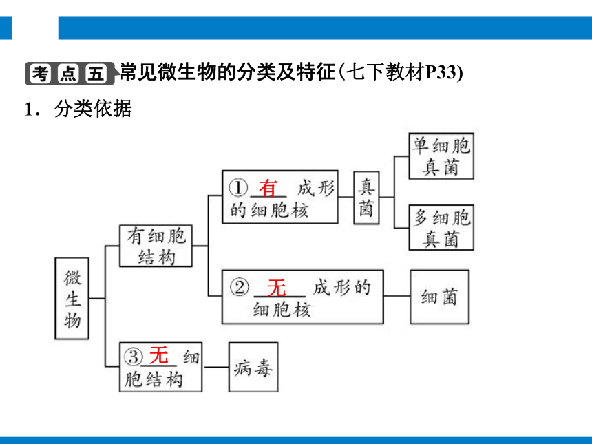 2024浙江省中考科学复习 第1讲　生物的分类（课件 54张PPT）