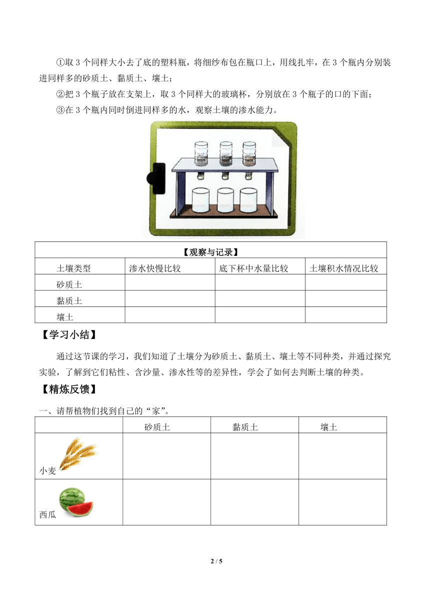 青岛版（五四制2017秋）三年级下册科学 学案 1.2.土壤的种类（无答案）