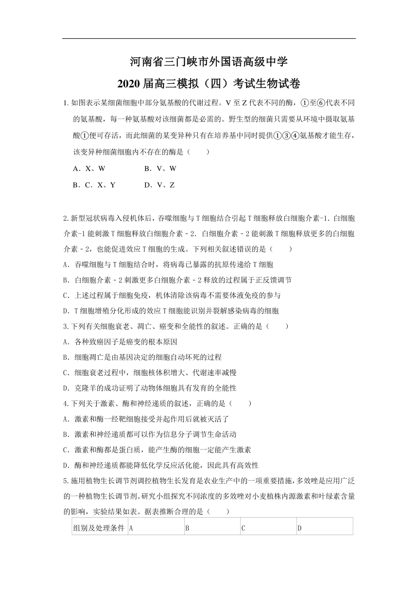 河南省三门峡市外国语高级中学2020届高三模拟（四）考试生物试卷