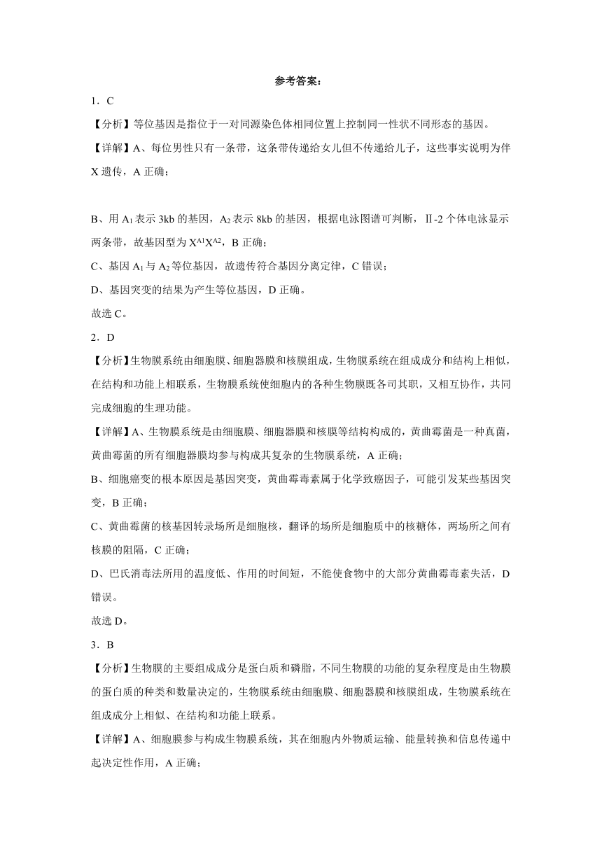 5.1基因突变和基因重组  练习（含解析）-2023-2024学年高一下学期生物人教版必修2