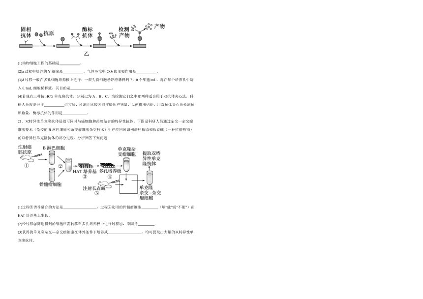 2.2动物细胞工程 练习(含解析）-2023-2024学年高二下学期生物人教版（2019）选择性必修3