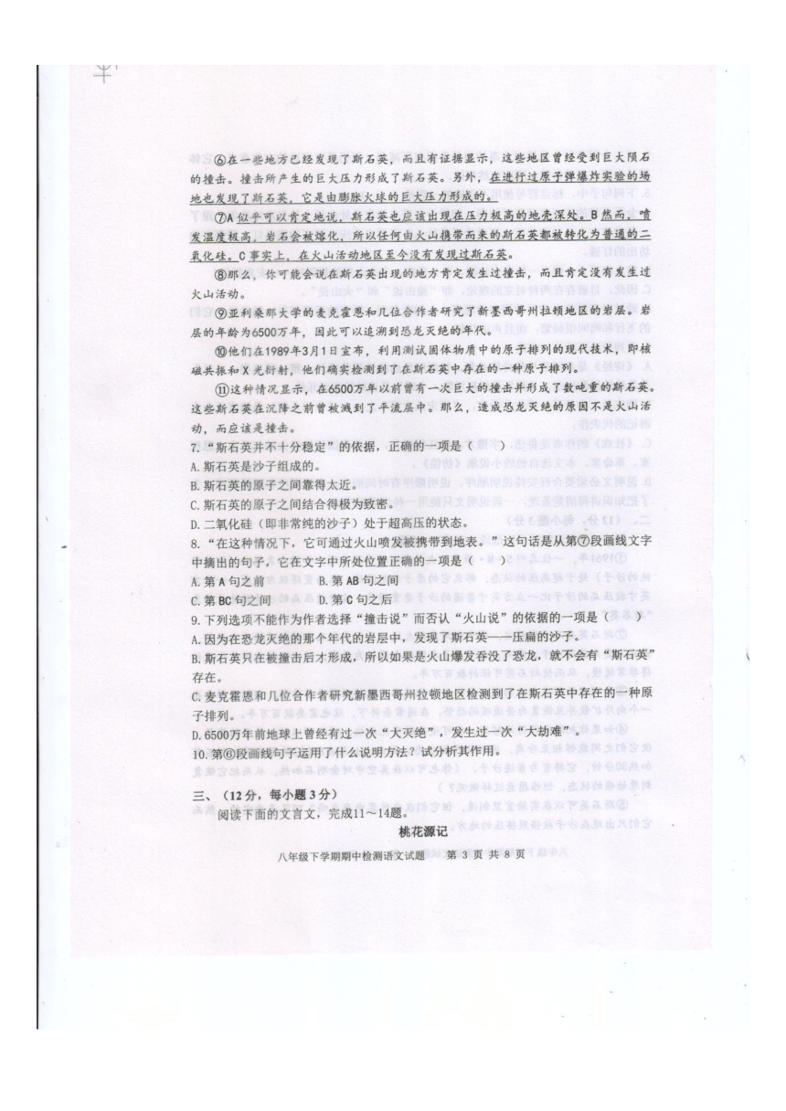 山东省泰安市新泰市2023-2024学年八年级下学期4月期中语文试题（图片版，含答案）