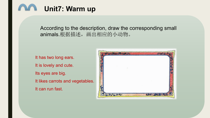 Unit7 She looks tall and thin 课件(共31张PPT)