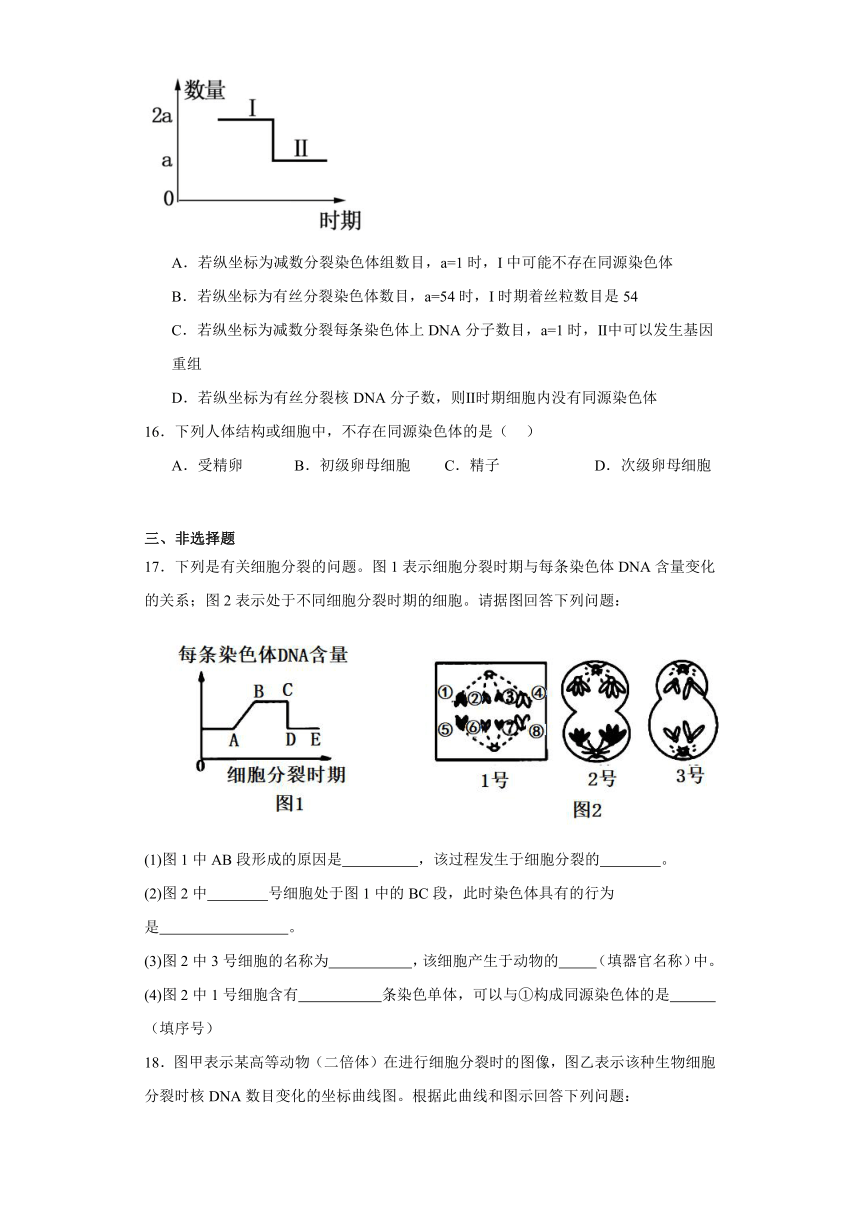 2.1减数分裂和受精作用 同步练习（含解析）