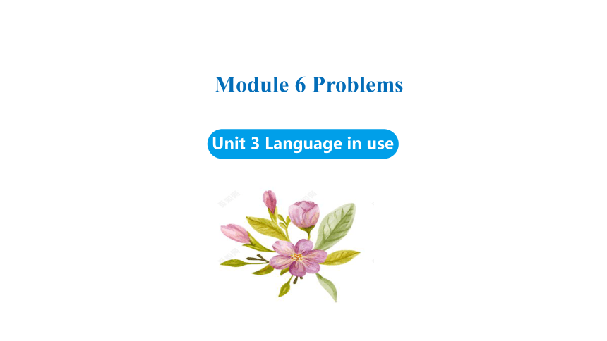 Module 6 Unit 3 Language in use课件(共35张PPT) 外研（新标准）版九年级上册