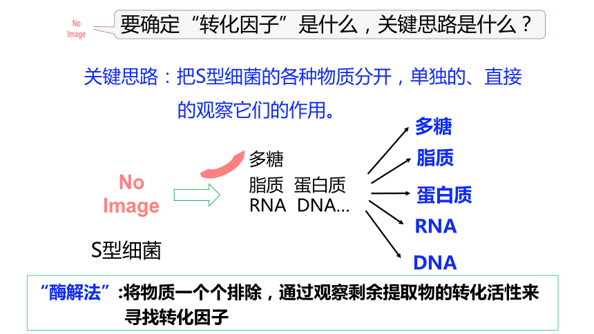 3.1 DNA是主要的遗传物质-(共48张PPT)课件人教版（2019）必修二