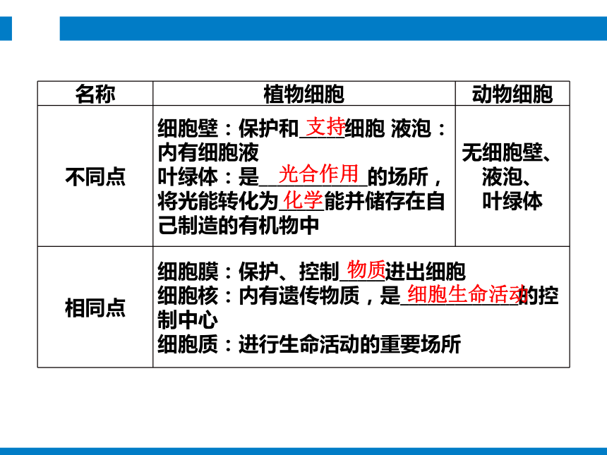 2024浙江省中考科学复习 第2讲　生物体的结构和层次（课件 48张PPT）