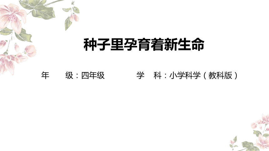 小学科学教科版四年级下册：1-种子里孕育着新生命-教学课件(共12张PPT)