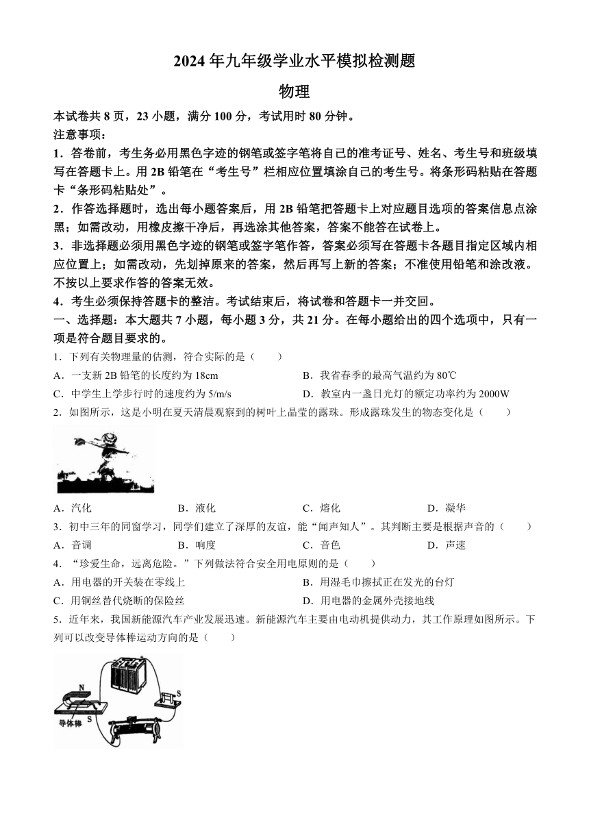 2024年广东省湛江市廉江市中考二模物理试题（含答案）