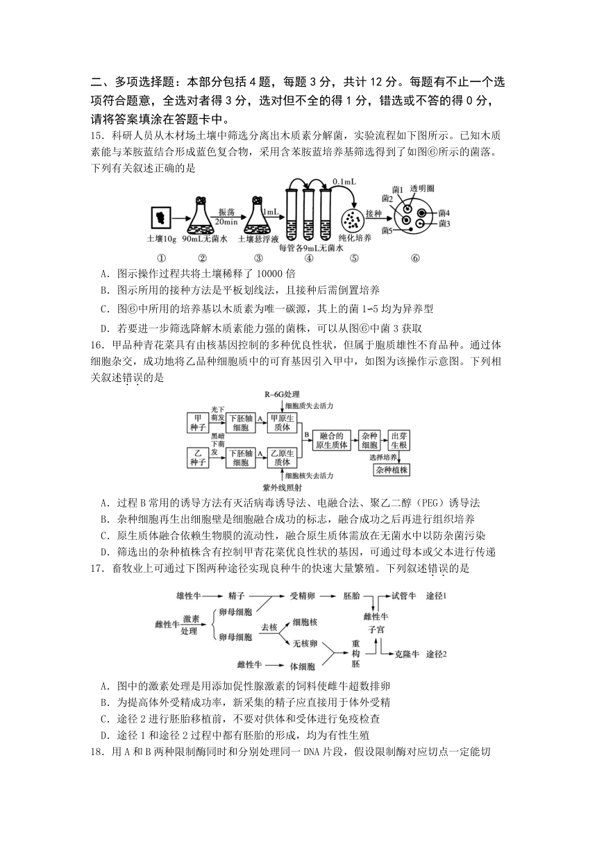 江苏省南京市六校2023-2024学年高二下学期5月期中调研测试生物试卷（含答案）