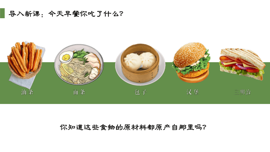 选必2第1课 从食物采集到食物生产课件(共25张PPT)