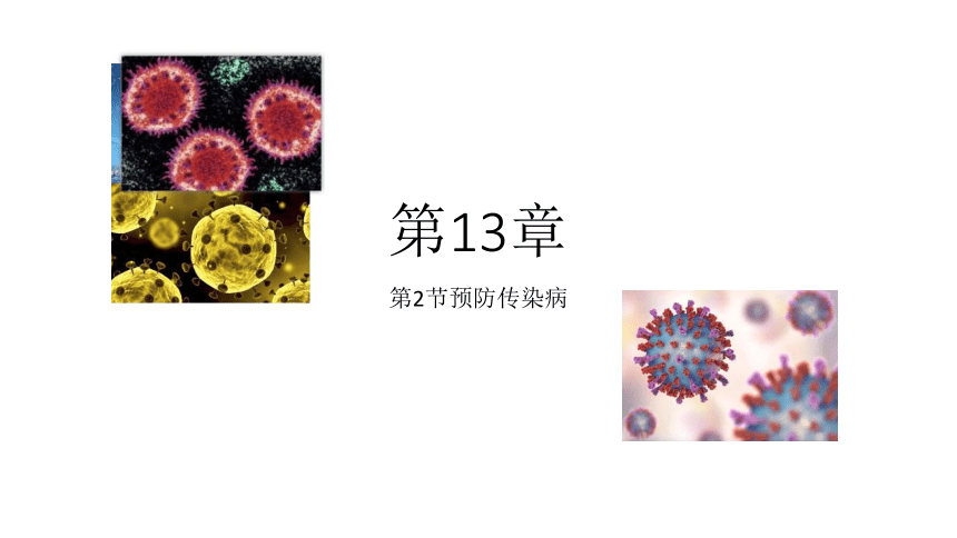 13.2 预防传染病—北师大版七年级生物下册课件：(共31张PPT)