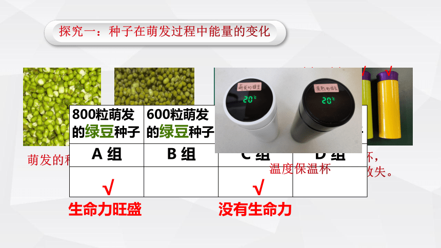 3.5.2绿色植物的呼吸作用课件(共29张PPT)人教版初中生物七年级上册