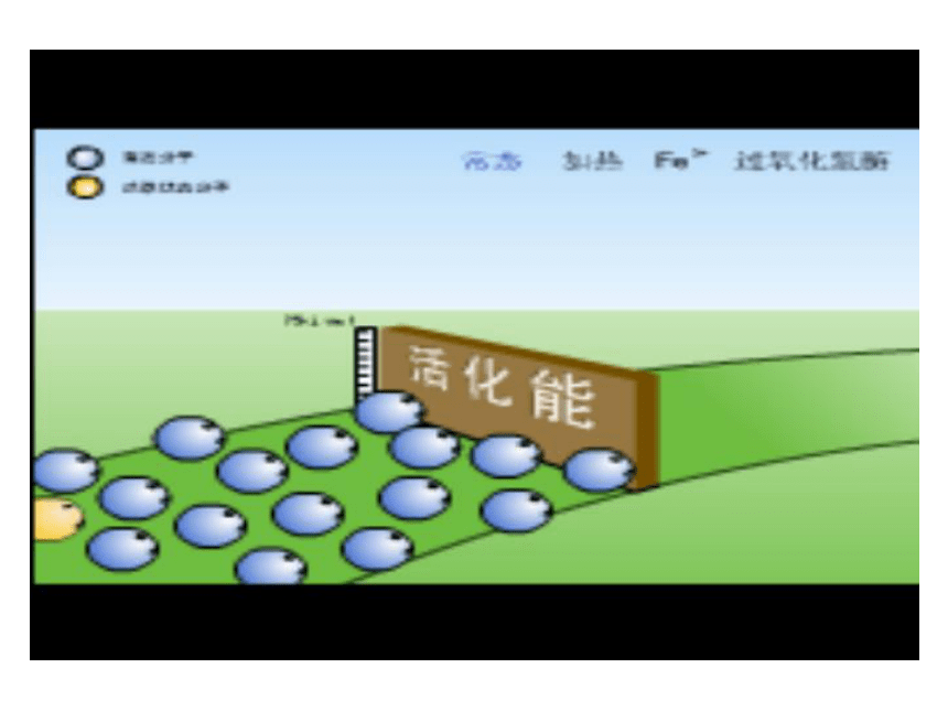 人教版高中必修一生物 5.1：降低化学反应活化能的酶(35张PPT)