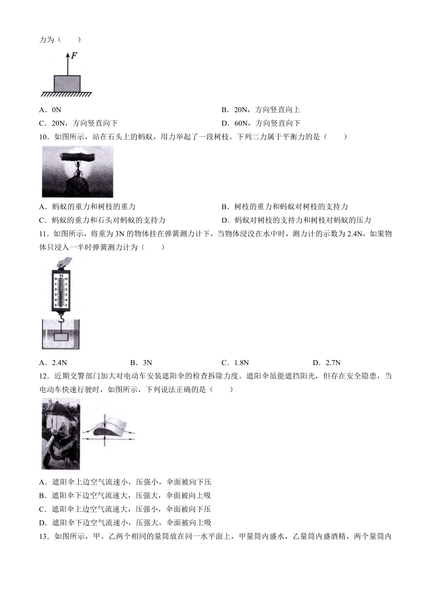 福建省福州市闽清县2023-2024学年八年级下学期4月期中物理试题 (含答案)