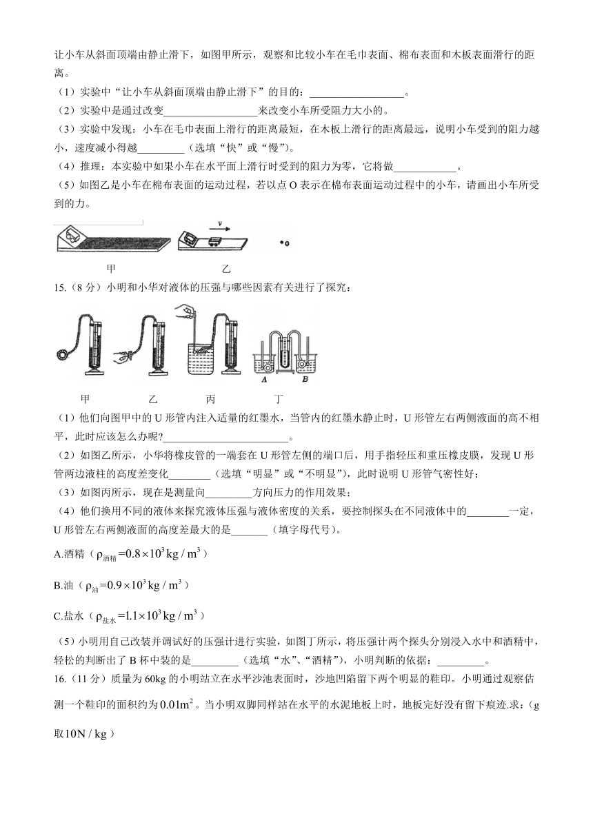 广东省仲元中学2023-2024学年八年级下学期期中测试物理试卷（有答案）