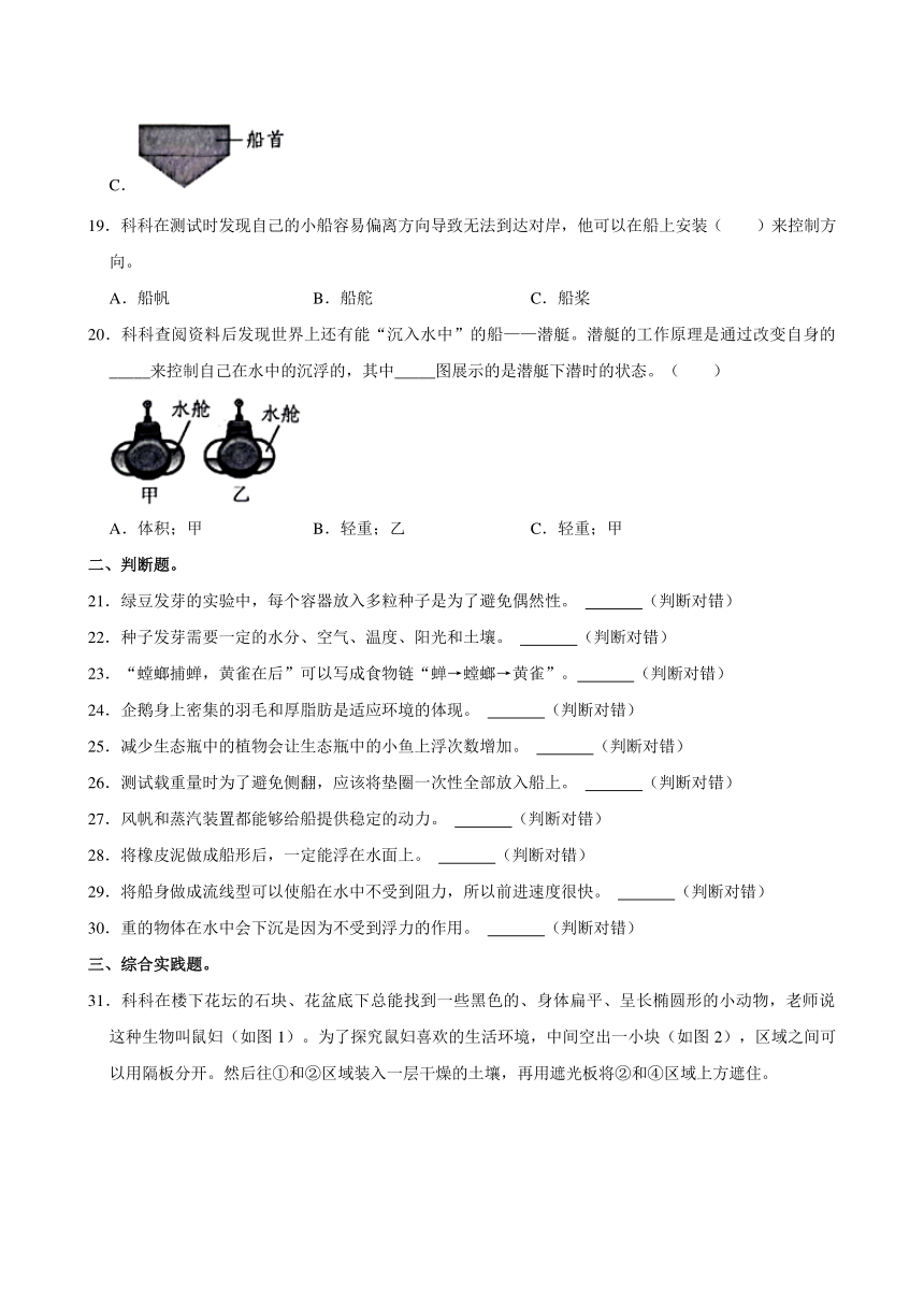 广东省深圳市福田区2023-2024学年五年级下学期期中科学试卷（含解析）