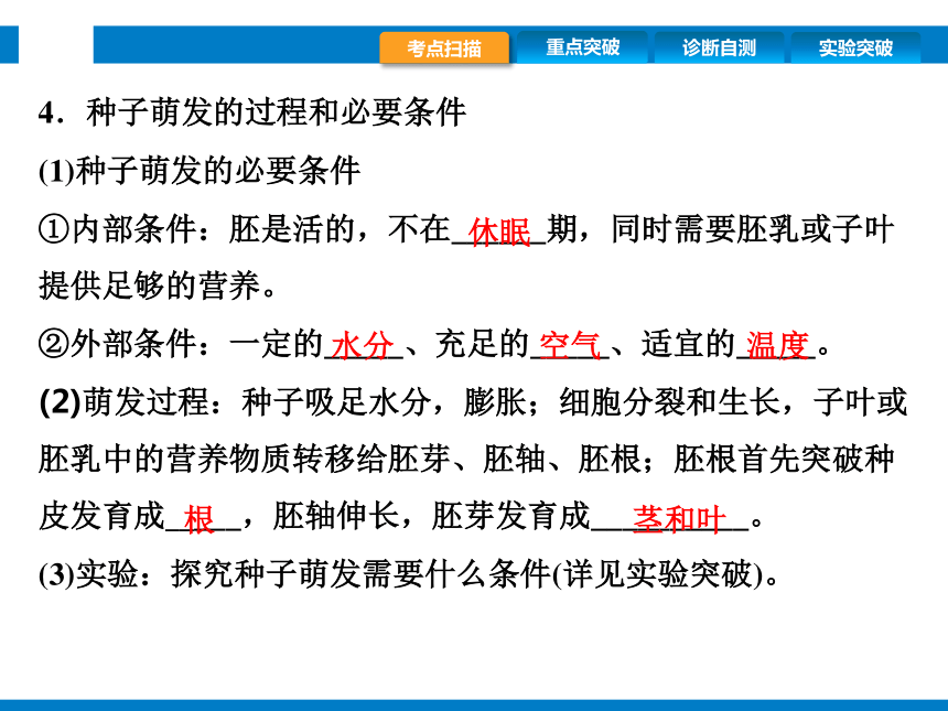 2024浙江省中考科学复习第9讲　细菌、真菌的繁殖　植物的生殖和发育（课件 39张PPT）