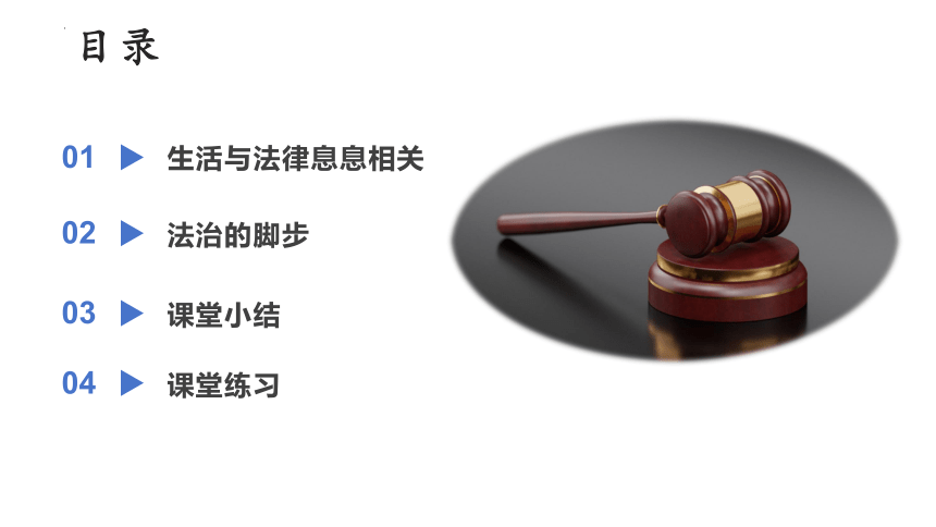 9.1 生活需要法律 课件（23张PPT）+内嵌视频