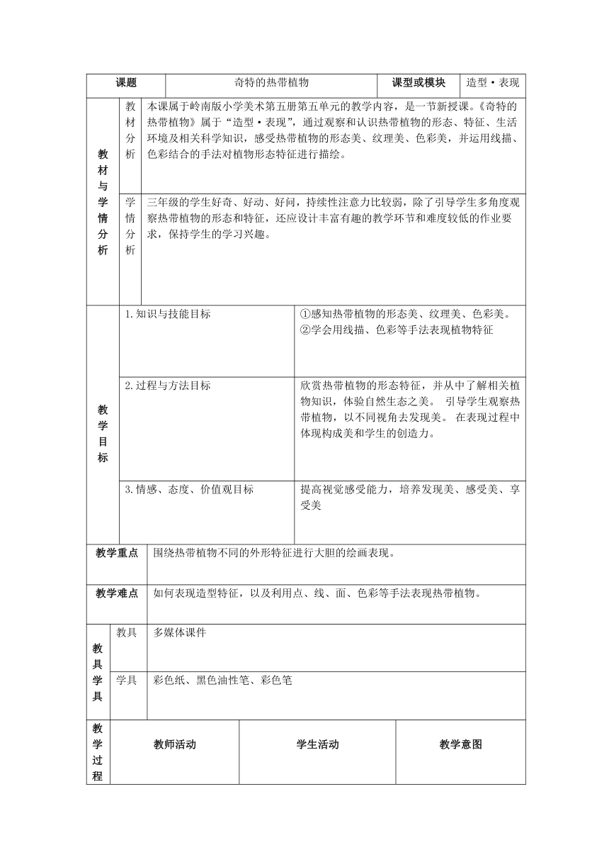 岭南版三年级上册 美术 教案 5.14 奇特的热带植物