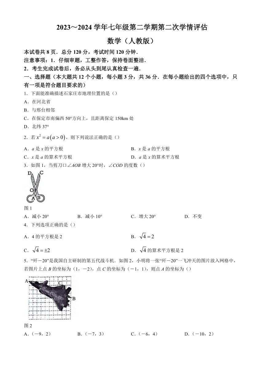 河北省邢台市威县第三中学2023-2024学年七年级下学期期中数学试题（含答案）