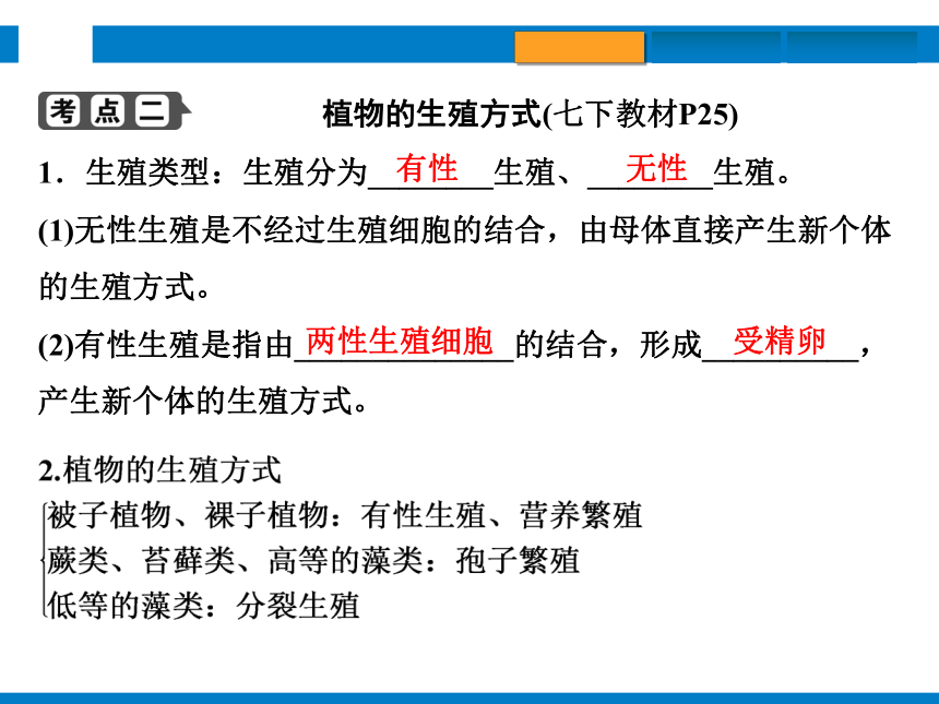 2024浙江省中考科学总复习第4讲　植物的生殖和发育　细菌、真菌的繁殖（课件 32张PPT）