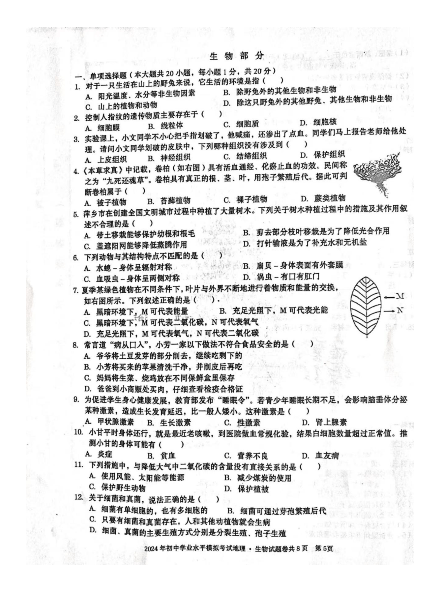 江西省萍乡市上栗县2024年八年级学业水平模拟考试地理·生物试卷(图片版，含答案)