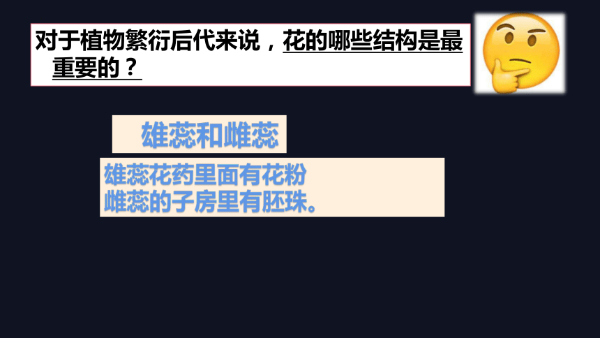 3.5.5 植物的开花和结果课件(共28张PPT)2023--2024学年苏教版生物七年级上册