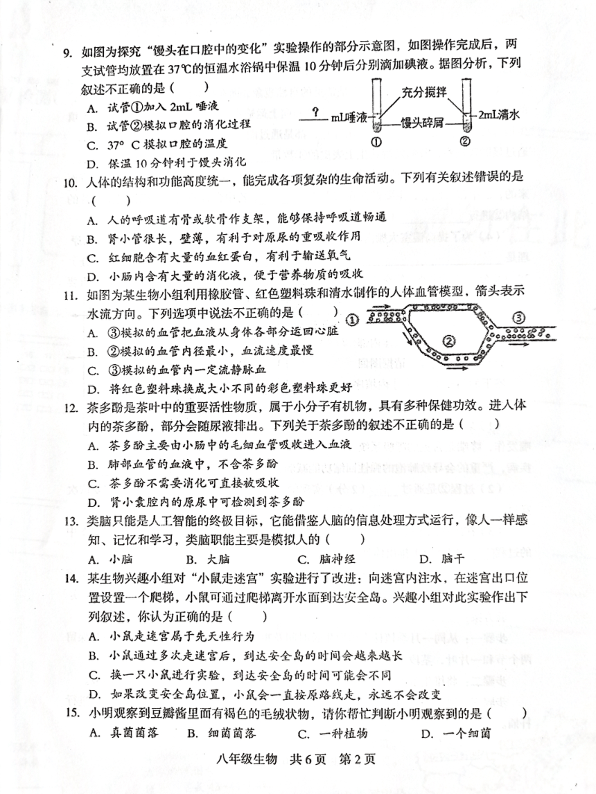 2024年湖南省娄底市中考三模地理生物试题（图片版 无答案）