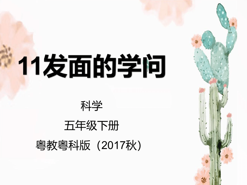 11 发面的学问（内含视频素材）:19张PPT