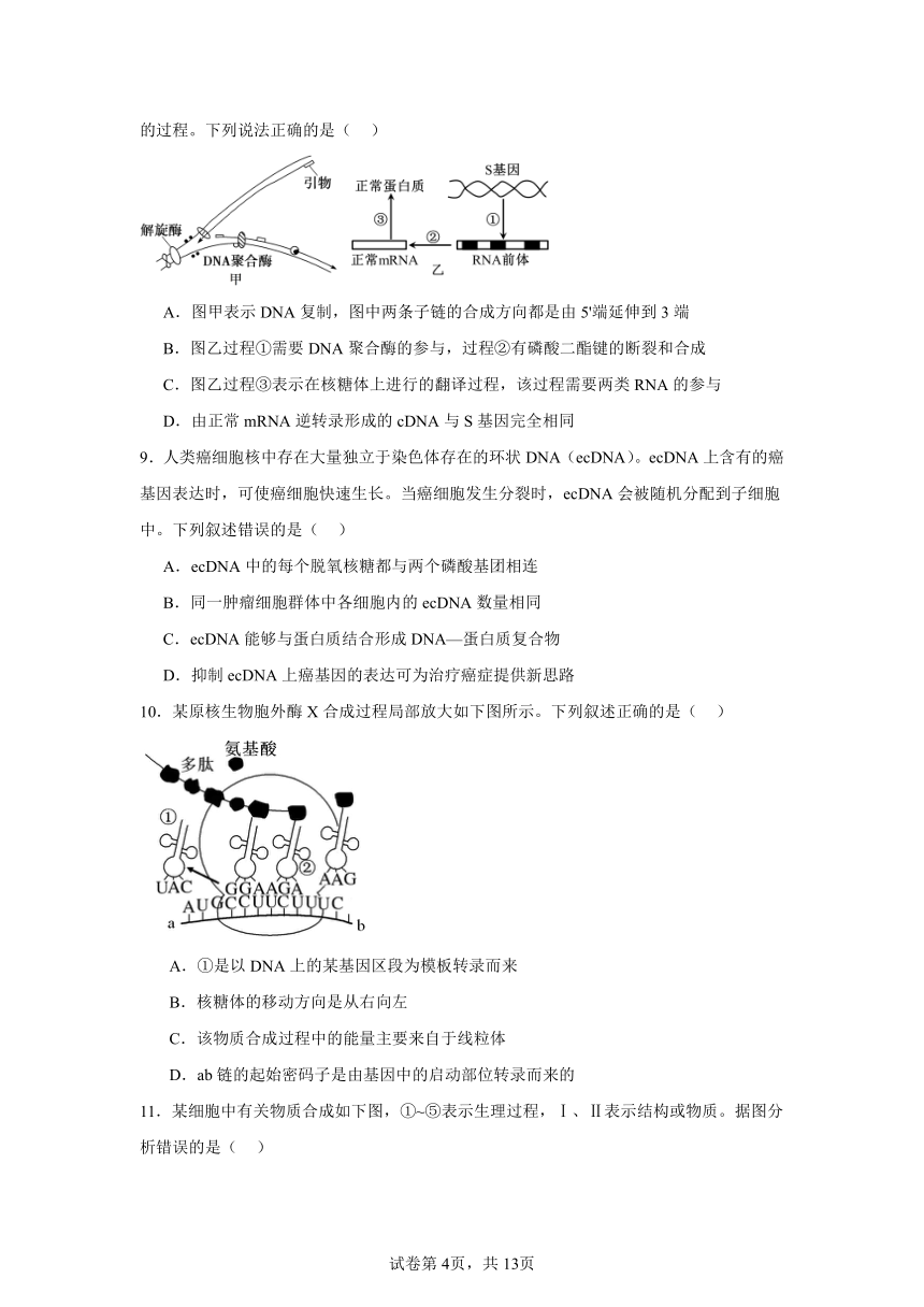 4.1基因指导蛋白质的合成同步练习（含解析）2023——2024学年高生物人教版（2019）必修2遗传与进化