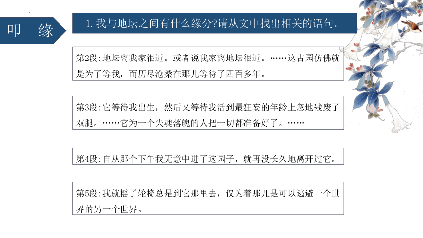 15.《我与地坛（节选）》课件(共41张PPT)  2023-2024学年统编版高中语文必修上册