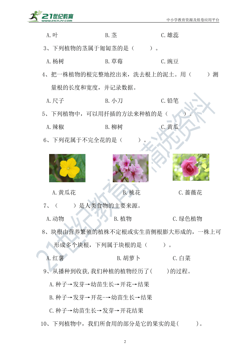 粤科版科学三下册第三单元测试卷（含答案）