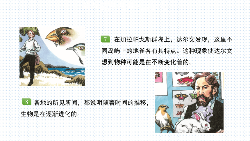 北师大版生物八年级下册 7.21.2 生物的进化 第2课时 课件(共18张PPT)