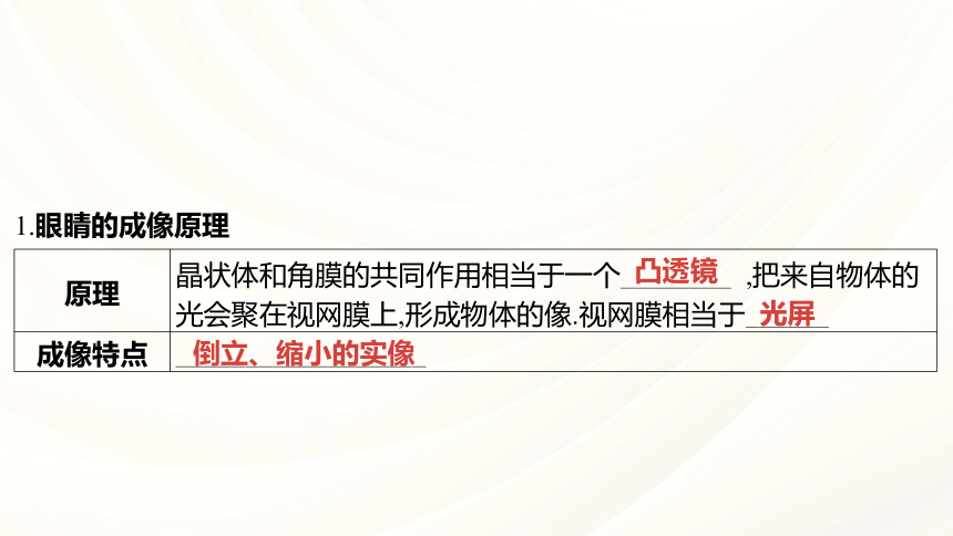 2024年福建省中考物理一轮复习 课时3 透镜及其应用  课件(共82张PPT)