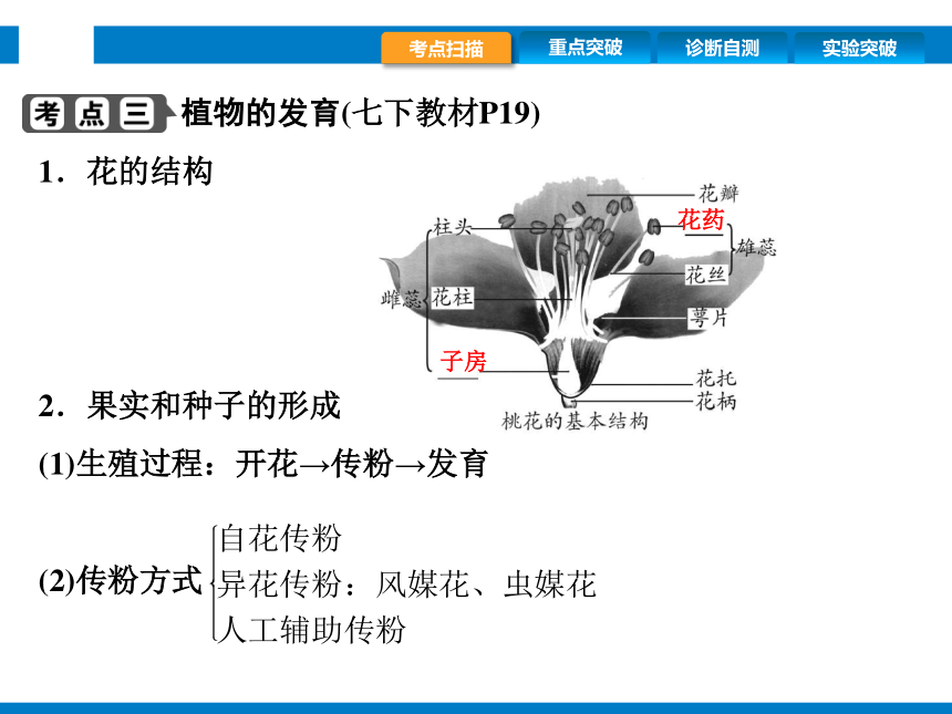 2024浙江省中考科学复习第9讲　细菌、真菌的繁殖　植物的生殖和发育（课件 39张PPT）