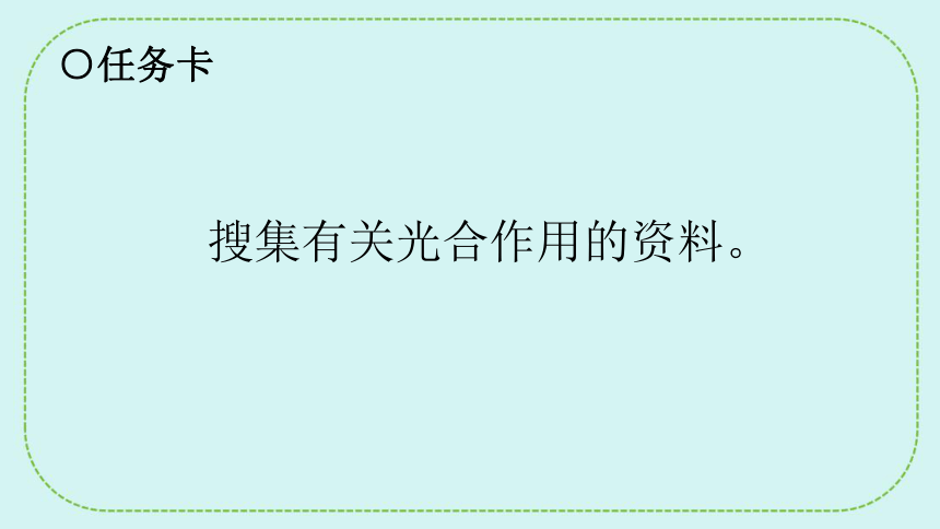 青岛版（六三制2017秋）五年级科学下册5.18 光合作用 课件（24张PPT）