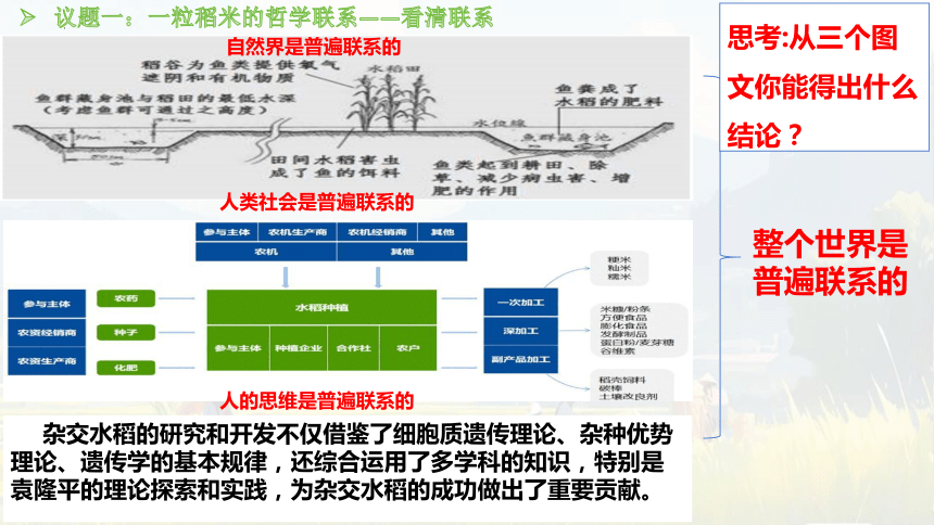 3.1世界是普遍联系的课件-2023-2024学年高中政治统编版必修四哲学与文化