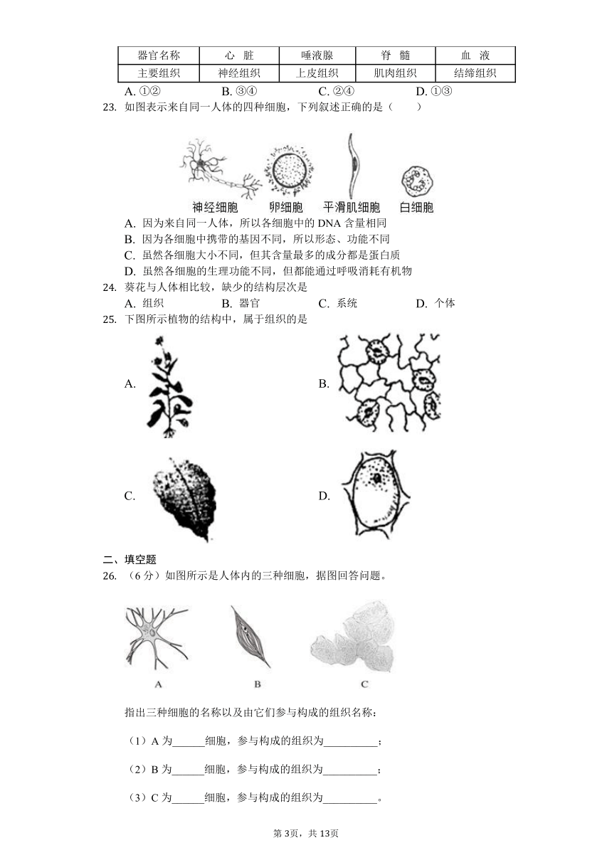 苏科版七年级下册第4单元第九章 生物体有相似的结构层次 单元测试（含解析）