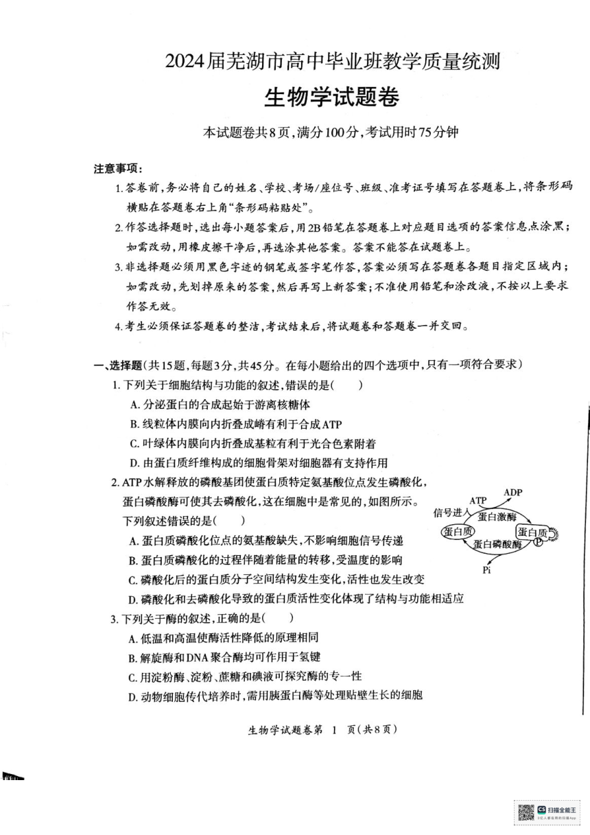 安徽省芜湖市2024届高中毕业班5月教学质量统测生物试卷（PDF版，无答案）