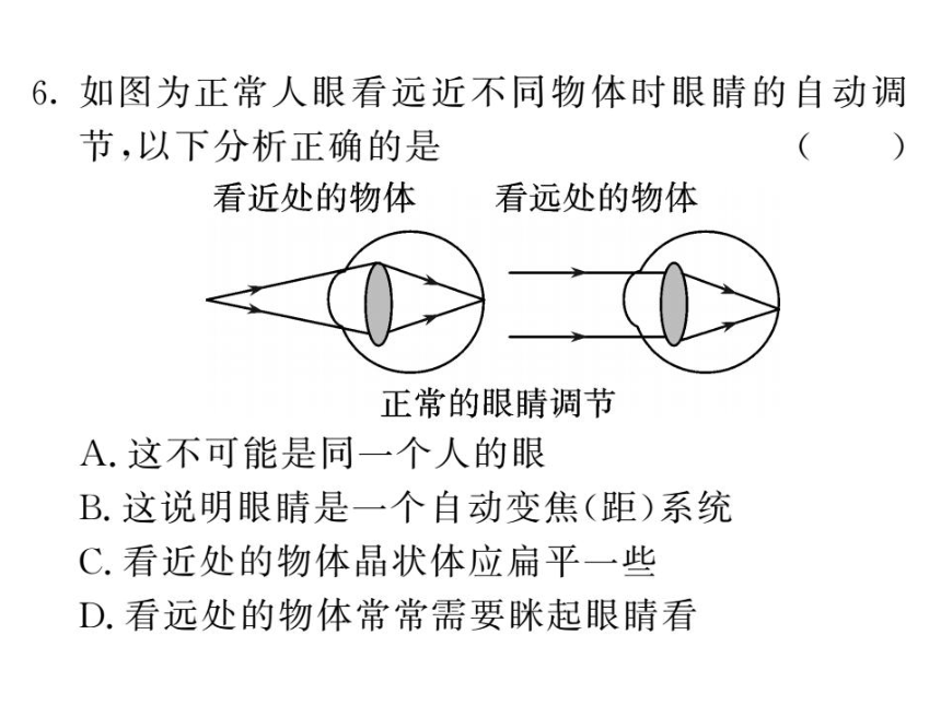 4．6．1 眼睛和眼镜—2020秋沪科版八年级物理上册习题课件（共16张PPT）