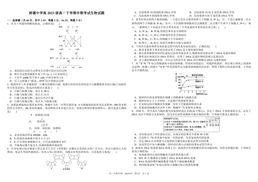 四川省成都市树德中学2023-2024学年高一下学期期中考试 生物（ PDF版含答案）