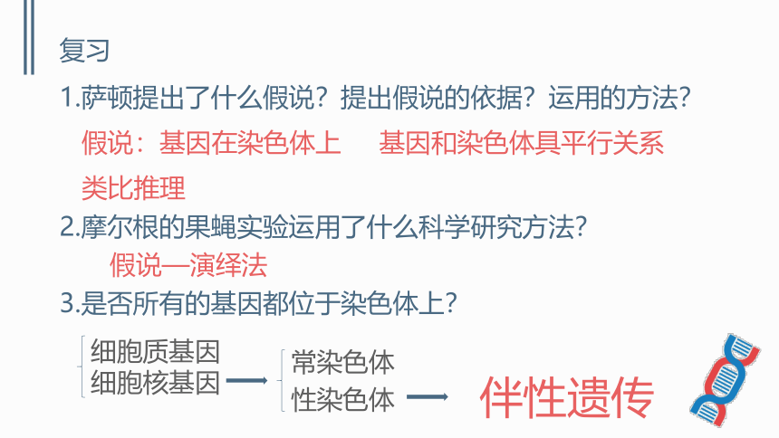 2.3 伴性遗传 课件(共51张PPT)