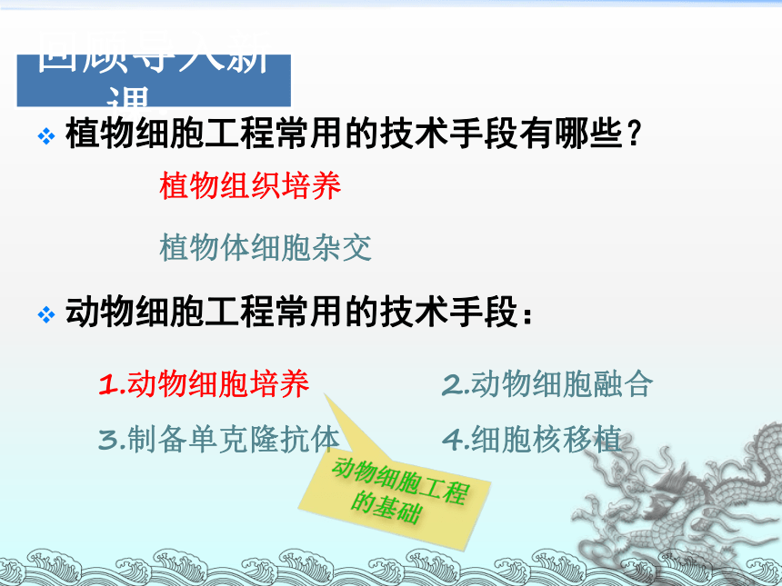 2020年高中生物人教选修3专题2课件：2．2．1 动物细胞培养和核移植技术（共48张PPT）