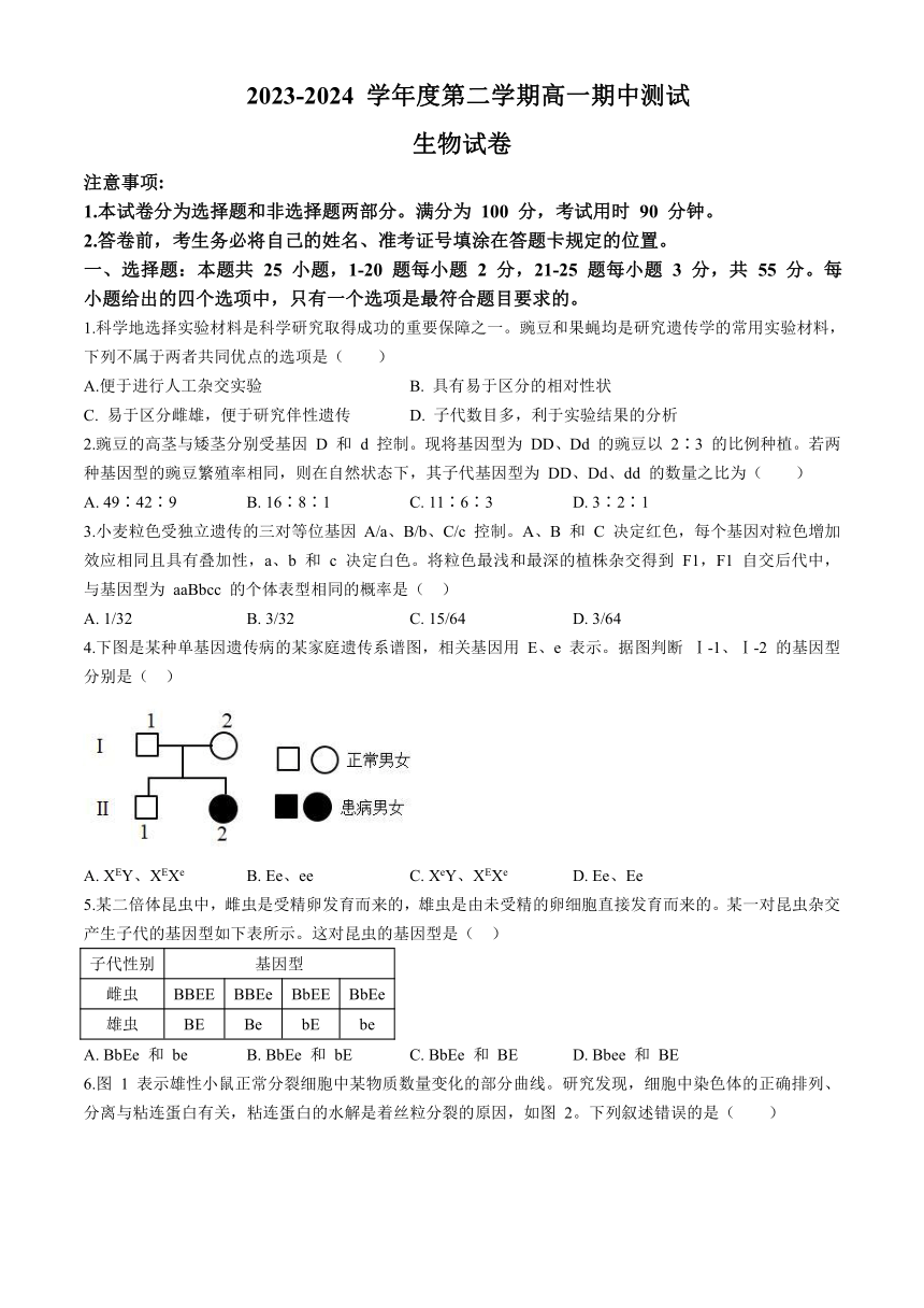 山东省济南市重点高中2023-2024学年高一下学期5月期中考试 生物（含答案）