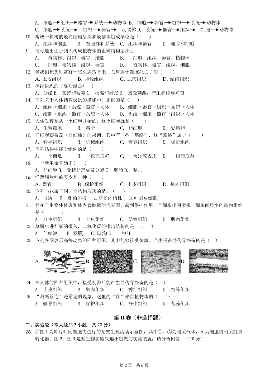 苏科版七年级生物下册第四单元第九章《生物体有相似的结构层次》测试卷（含答案）