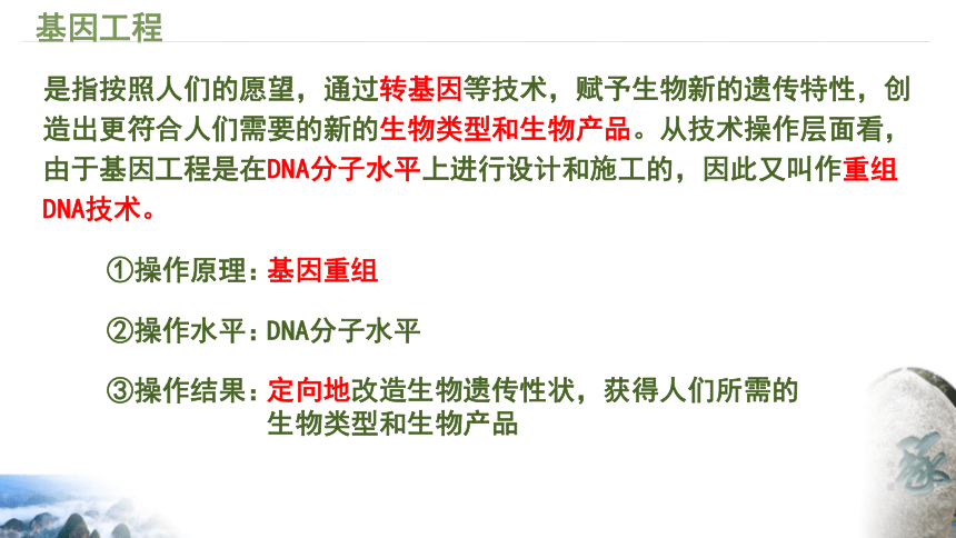 3.1重组DNA技术的基本工具课件(共37张PPT) 生物人教版（2019）选择性必修3